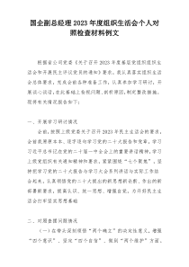 国企副总经理2023年度组织生活会个人对照检查材料例文