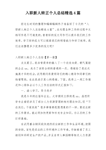 入职新人转正个人总结精选4篇