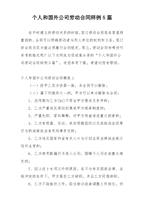 个人和国外公司劳动合同样例5篇