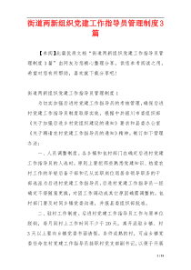 街道两新组织党建工作指导员管理制度3篇