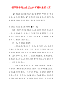 领导班子民主生活会剖析材料最新4篇