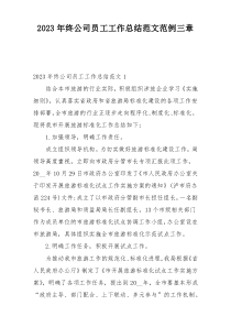 2023年终公司员工工作总结范文范例三章