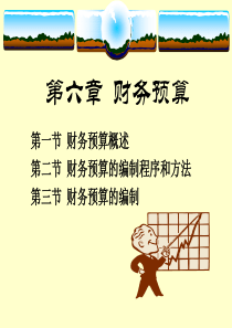 第6章财务预算