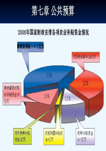第七章公共预算