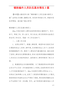 镇街编外人员队伍基本情况3篇