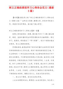 树立正确政绩观学习心得体会范文（最新5篇）