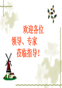 资产负债表245859739