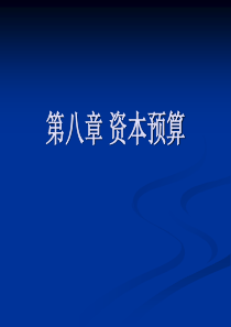 第九章资本预算