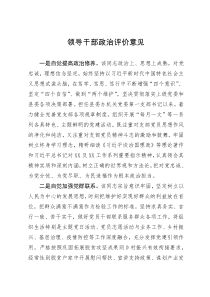 国企领导干部考察材料
