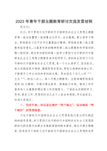 2023年青年干部主题教育研讨交流发言材料