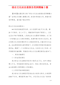 综合文化站自查报告范例精编3篇