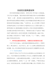公司先进党支部典型材料