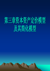 资本资产定
