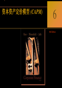 资本资产定价模型CAPM