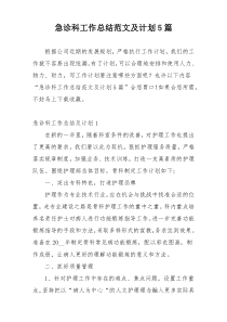 急诊科工作总结范文及计划5篇