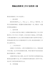 精编远程教育工作计划范例3篇