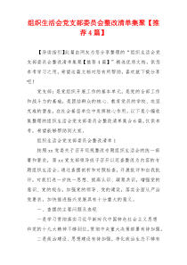 组织生活会党支部委员会整改清单集聚【推荐4篇】