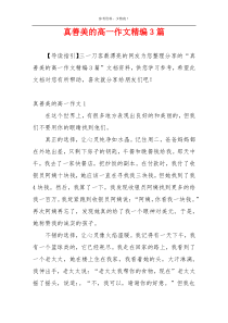 真善美的高一作文精编3篇