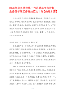 2023年业务员年终工作总结范文与计划_业务员年终工作总结范文计划【热选5篇】