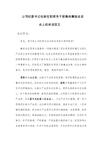 公司纪委书记在新任职领导干部集体廉政谈话会上的讲话范文