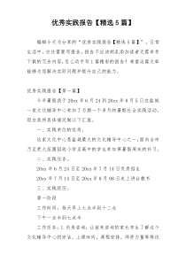 优秀实践报告【精选5篇】