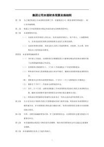 集团本部预算实施细则