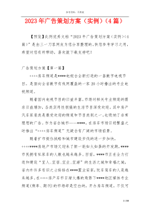 2023年广告策划方案（实例）（4篇）