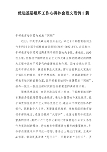 优选基层组织工作心得体会范文范例3篇