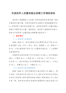 市退役军人安置和就业保障工作调研报告