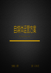 自媒体运营方案
