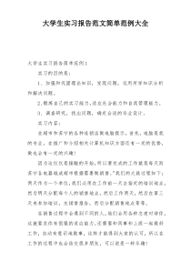 大学生实习报告范文简单范例大全