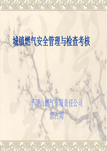 城镇燃气安全管理与检查0000