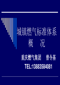 城镇燃气标准体系概况