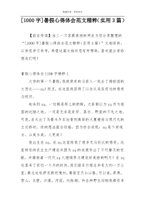 [1000字]暑假心得体会范文精粹（实用3篇）