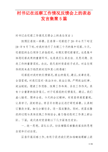 村书记在巡察工作情况反馈会上的表态发言集聚5篇