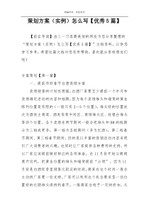 策划方案（实例）怎么写【优秀5篇】