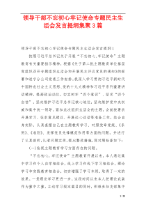 领导干部不忘初心牢记使命专题民主生活会发言提纲集聚3篇