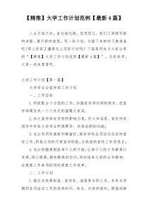 【精推】大学工作计划范例【最新4篇】