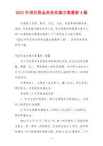 2023年项目资金具体实施方案最新4篇