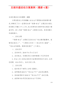 支部共建活动方案案例（最新4篇）