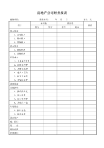 房地产公司财务报表