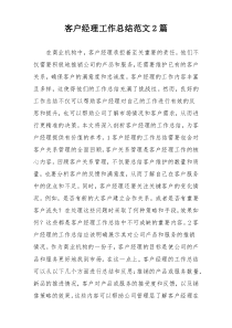 客户经理工作总结范文2篇