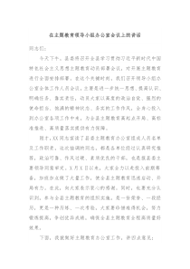 (领导讲话)在主题教育领导小组办公室会议上的讲话