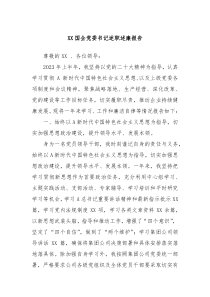 XX国企党委书记述职述廉报告