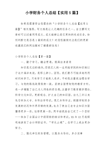 小学财务个人总结【实用5篇】