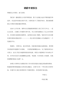 调薪申请报告