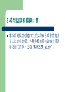 MIKE21学习-第3章模型创建