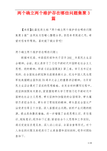 两个确立两个维护存在哪些问题集聚3篇