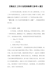 【精品】工作计划范例集聚【参考4篇】