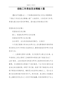 迎检工作表态发言精编3篇